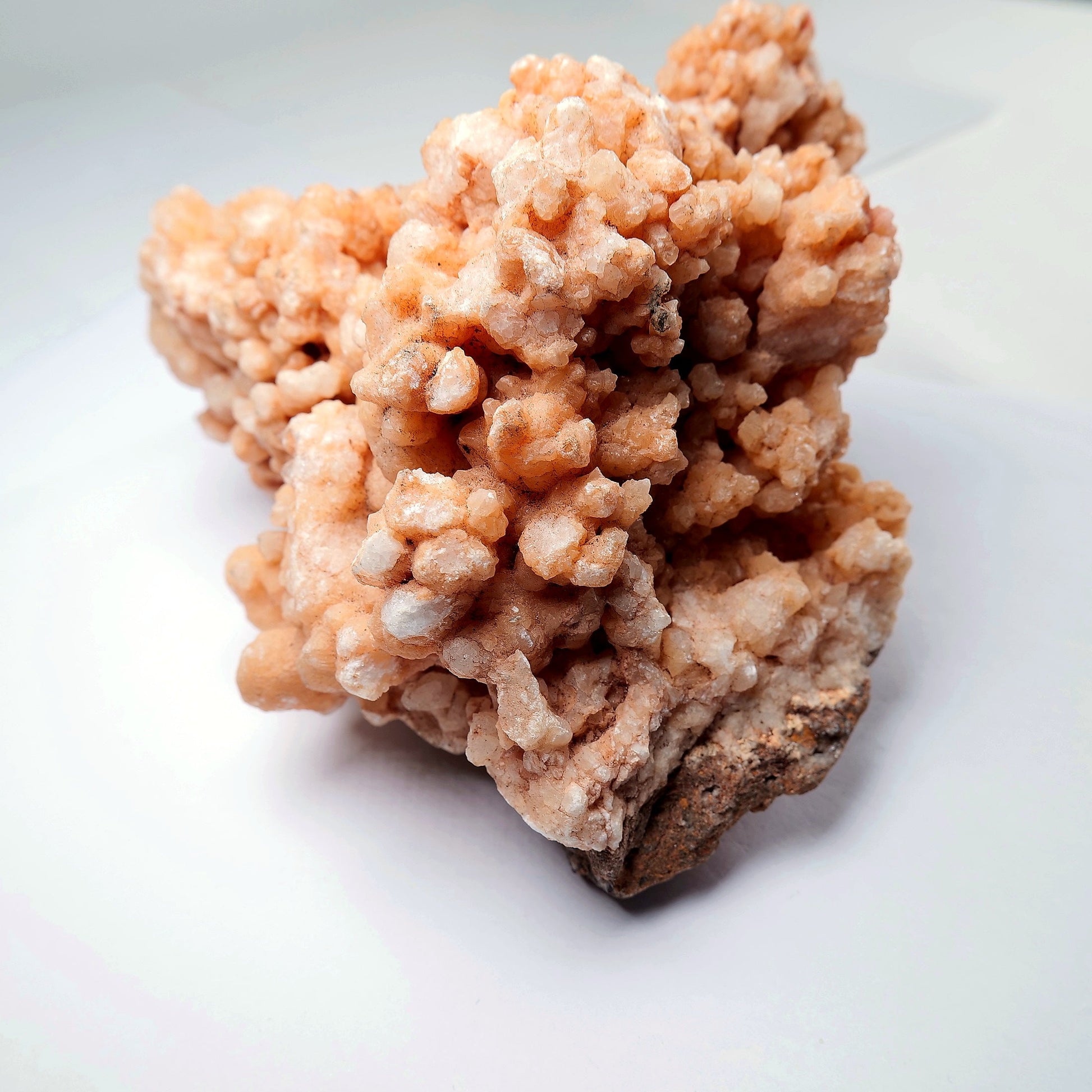 Orange Aragonite Cave Calcite Cluster on Matrix - 1200g - Luna Panther