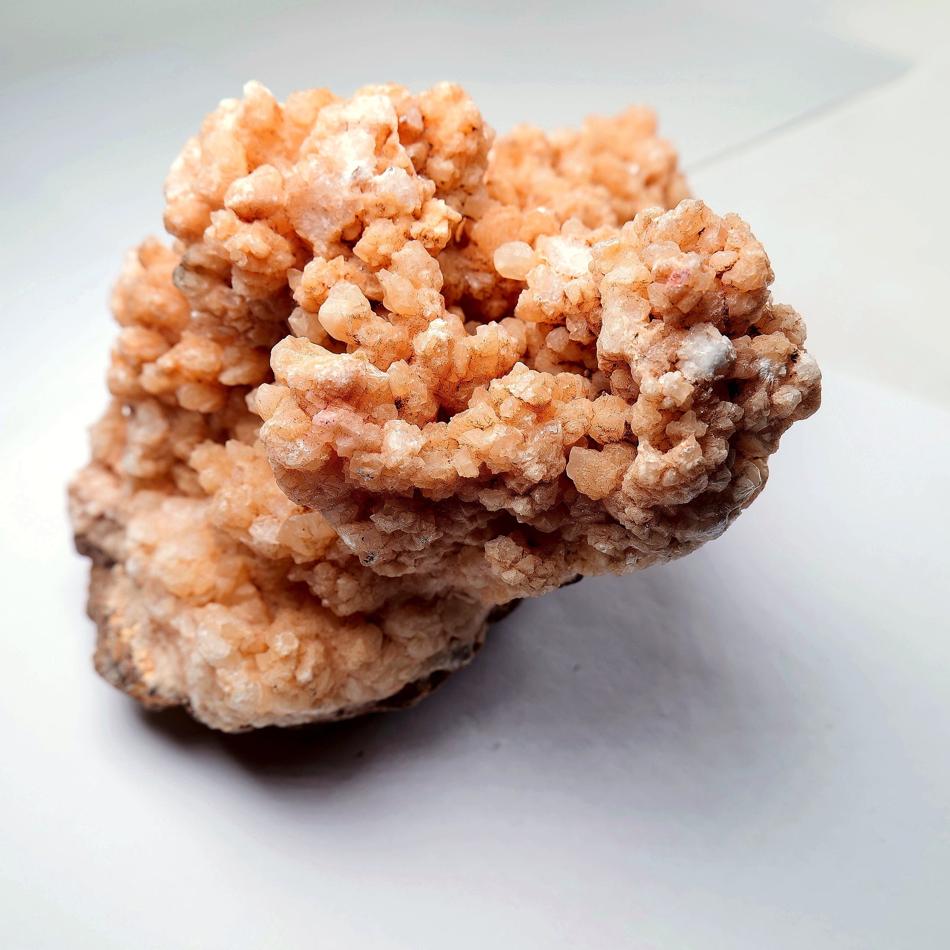 Orange Aragonite Cave Calcite Cluster on Matrix - 1200g - Luna Panther