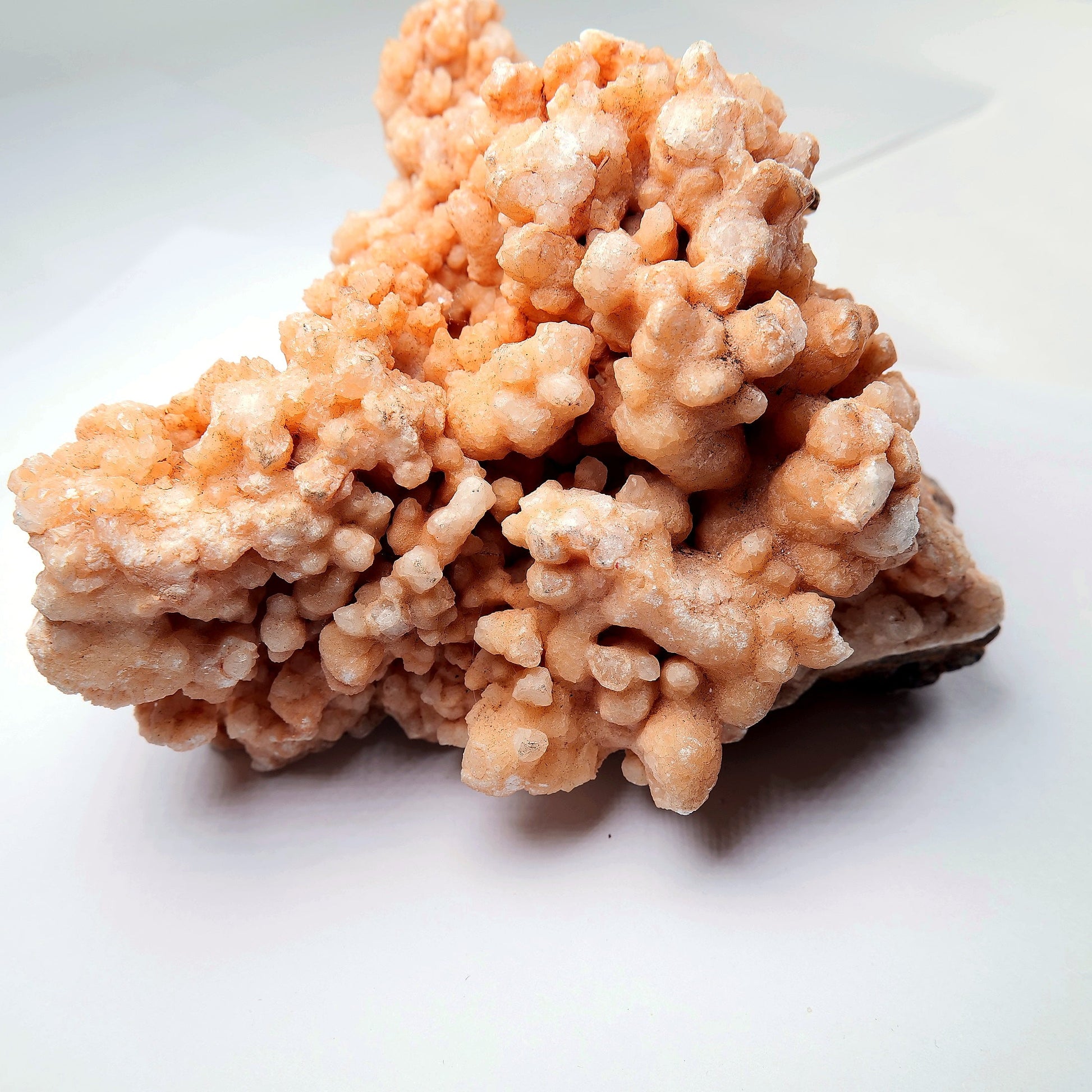 Orange Aragonite Cave Calcite Cluster on Matrix - 1200g - Luna Panther