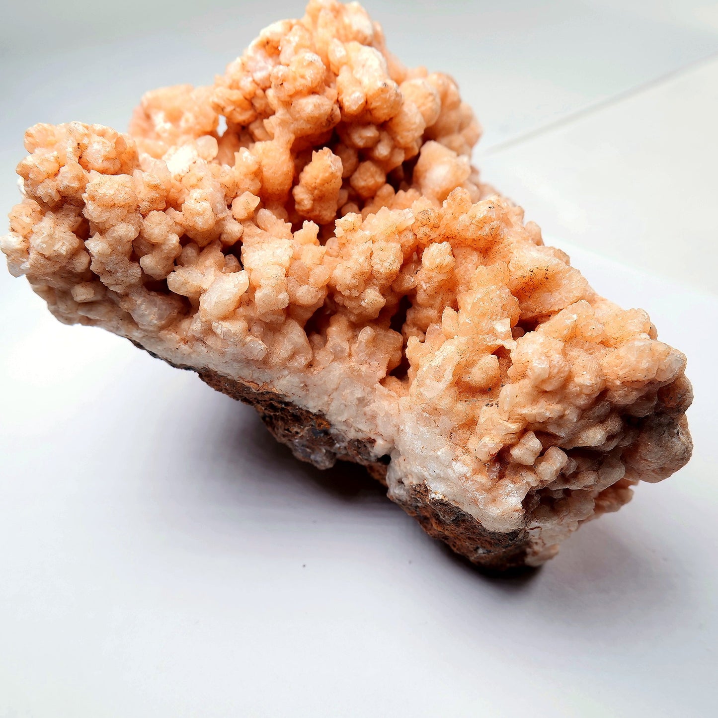 Orange Aragonite Cave Calcite Cluster on Matrix - 1200g - Luna Panther