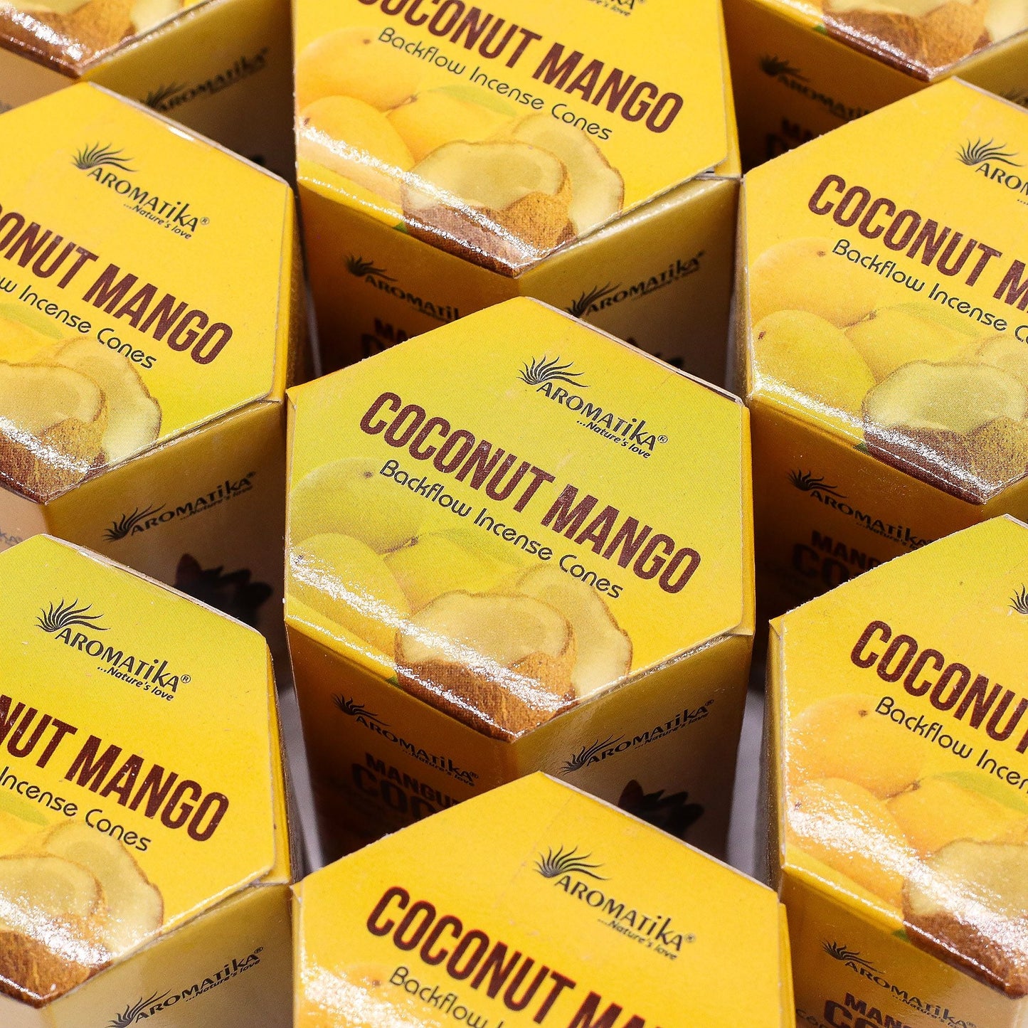 Pack of 10 Masala Backflow Incense - Coconut & Mango - Luna Panther