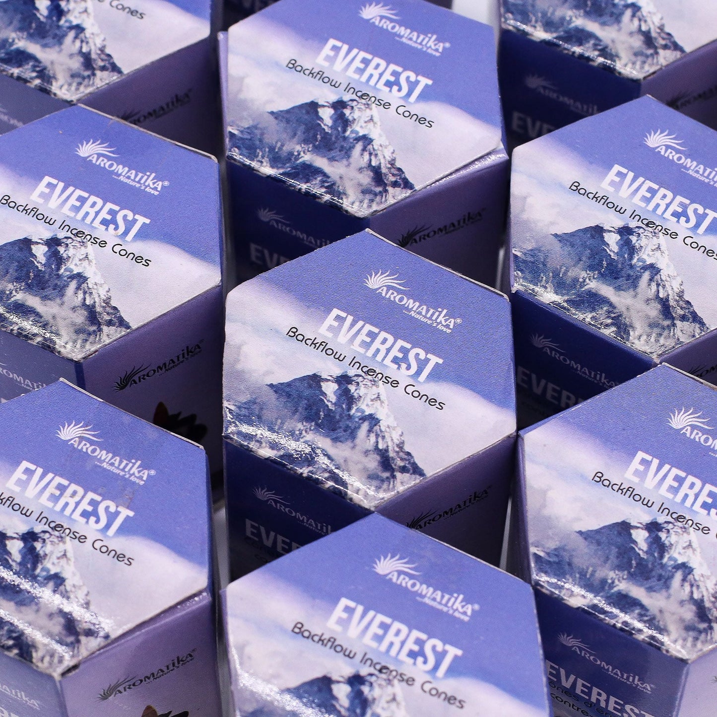 Pack of 10 Masala Backflow Incense - Everest - Luna Panther