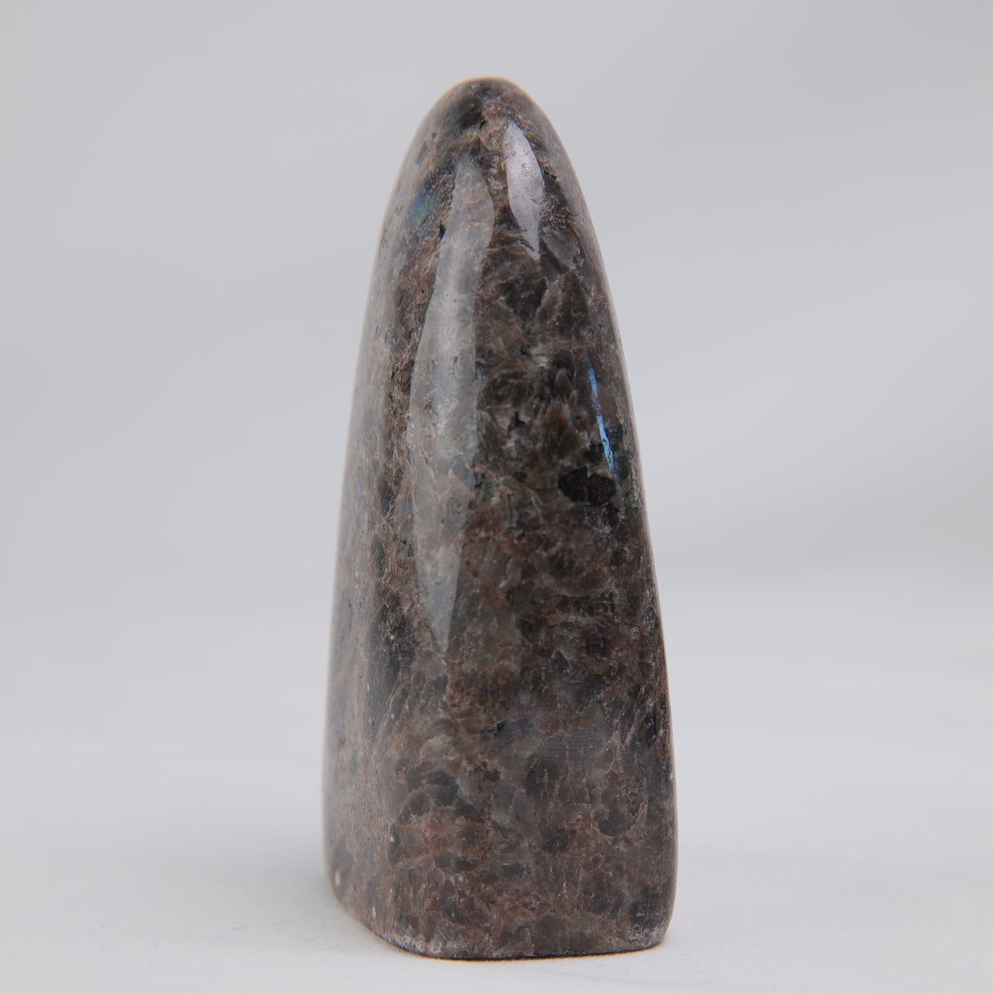 Pakistan Labradorite Freeform — 268 g (100 mm) - Luna Panther