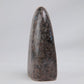 Pakistan Labradorite Freeform — 268 g (100 mm) - Luna Panther