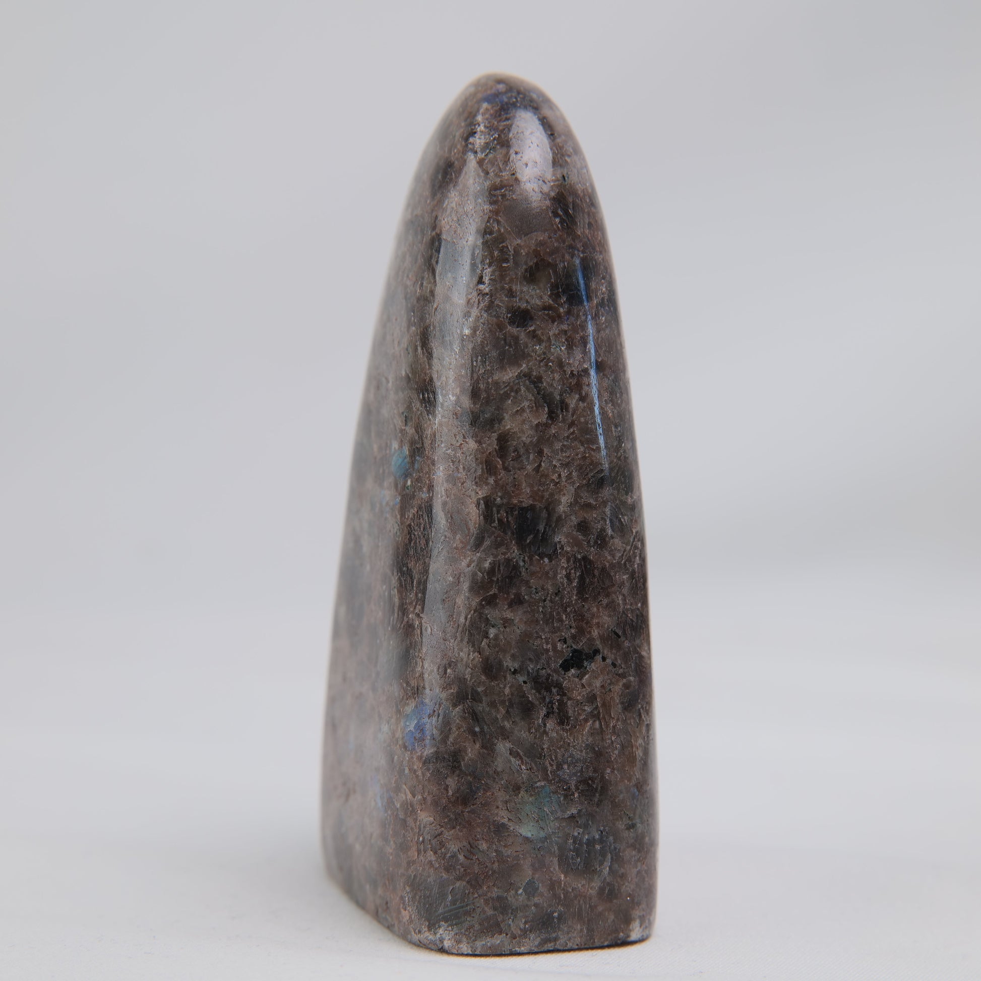 Pakistan Labradorite Freeform — 268 g (100 mm) - Luna Panther