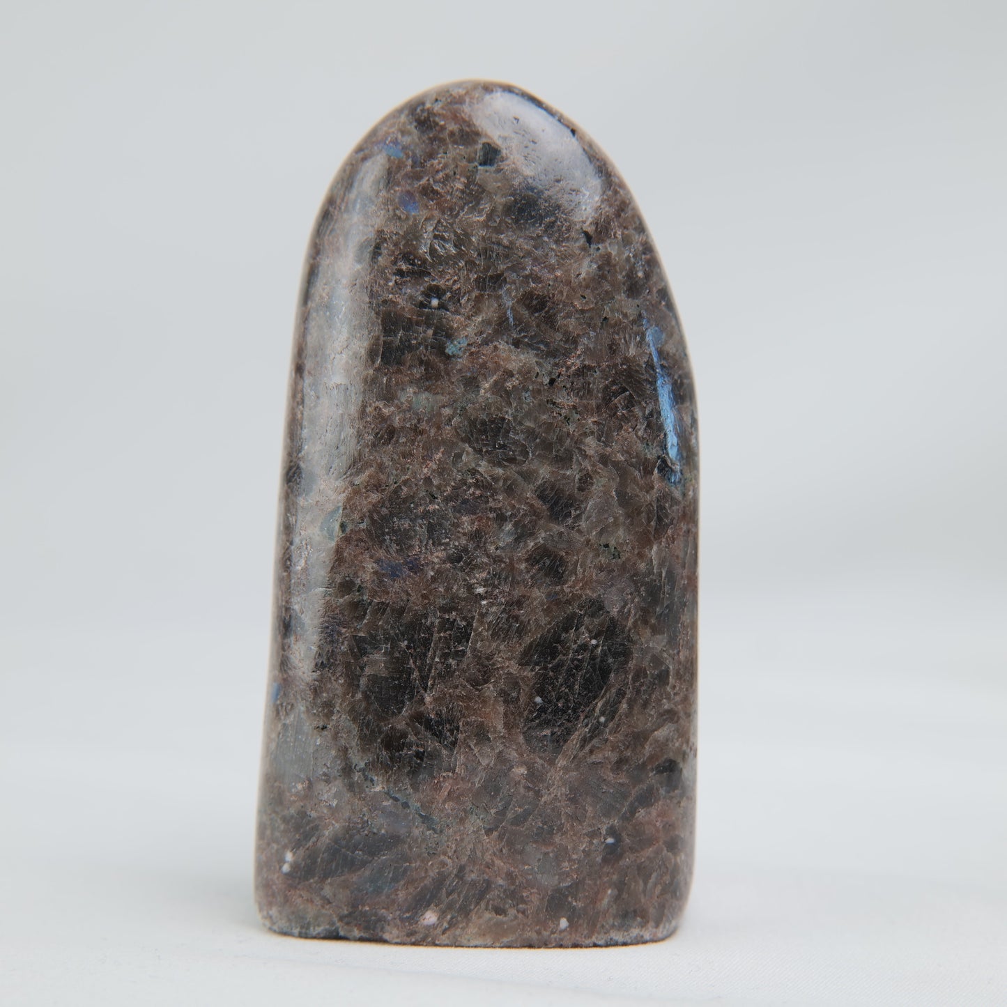 Pakistan Labradorite Freeform — 268 g (100 mm) - Luna Panther