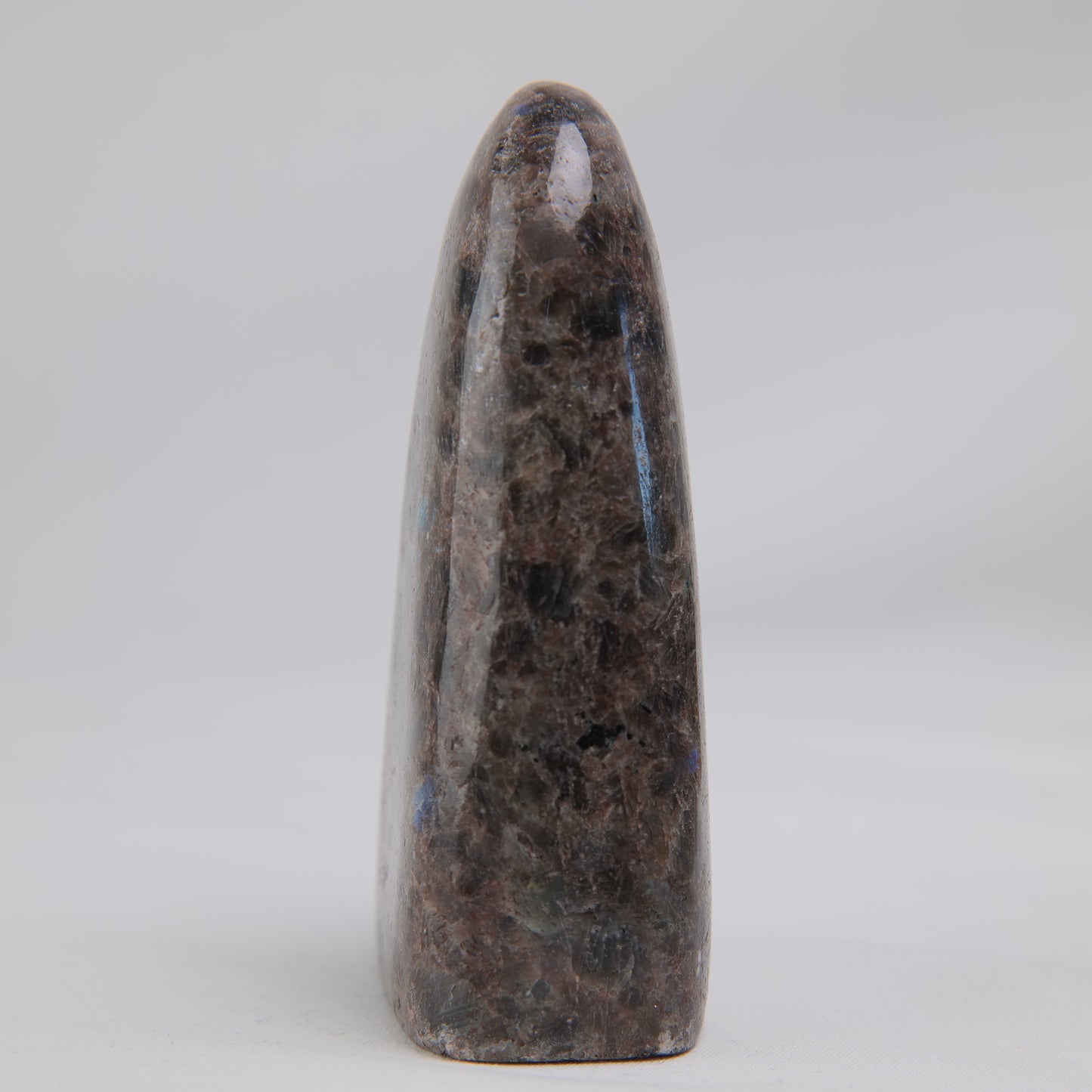 Pakistan Labradorite Freeform — 268 g (100 mm) - Luna Panther
