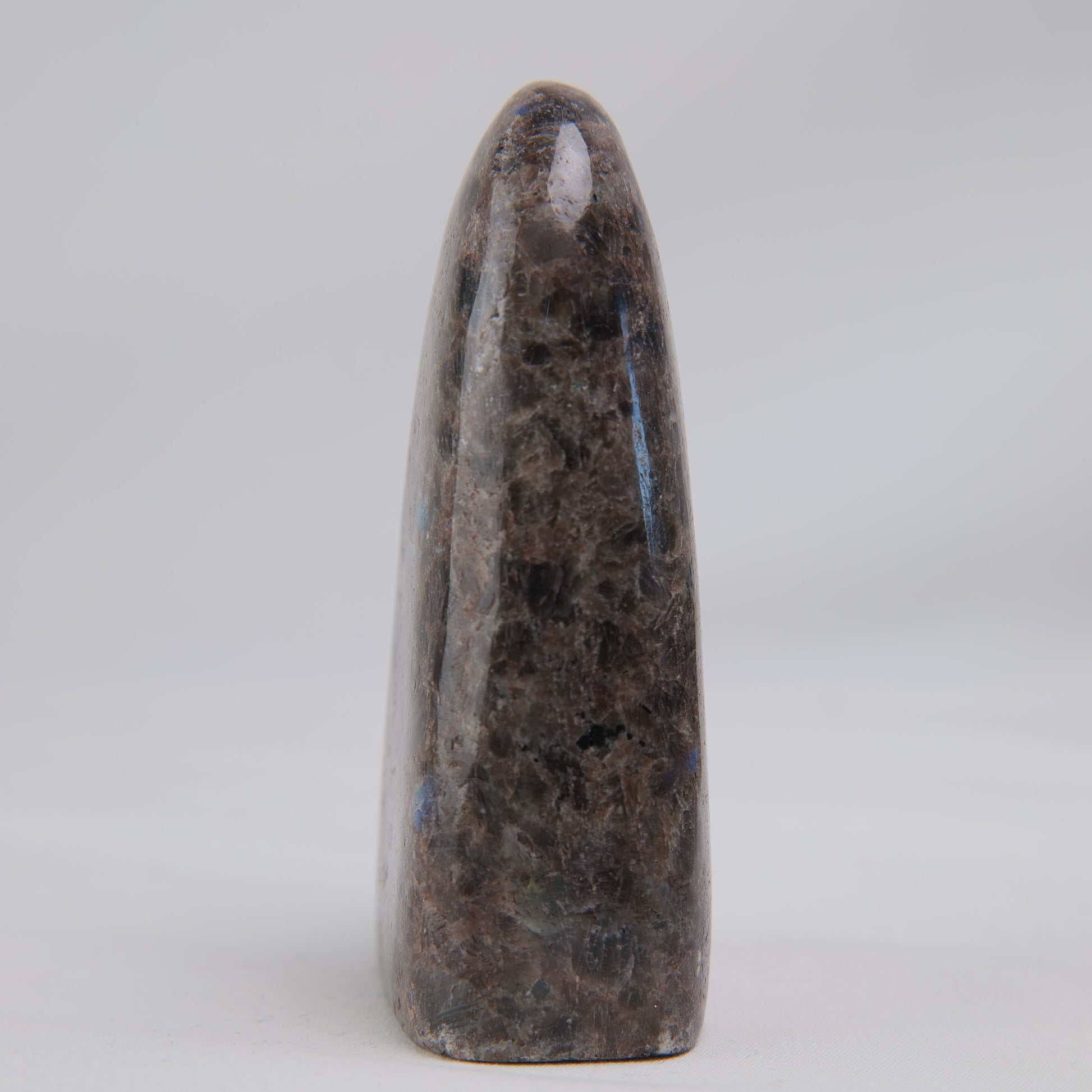 Pakistan Labradorite Freeform — 268 g (100 mm) - Luna Panther