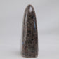 Pakistan Labradorite Freeform — 268 g (100 mm) - Luna Panther