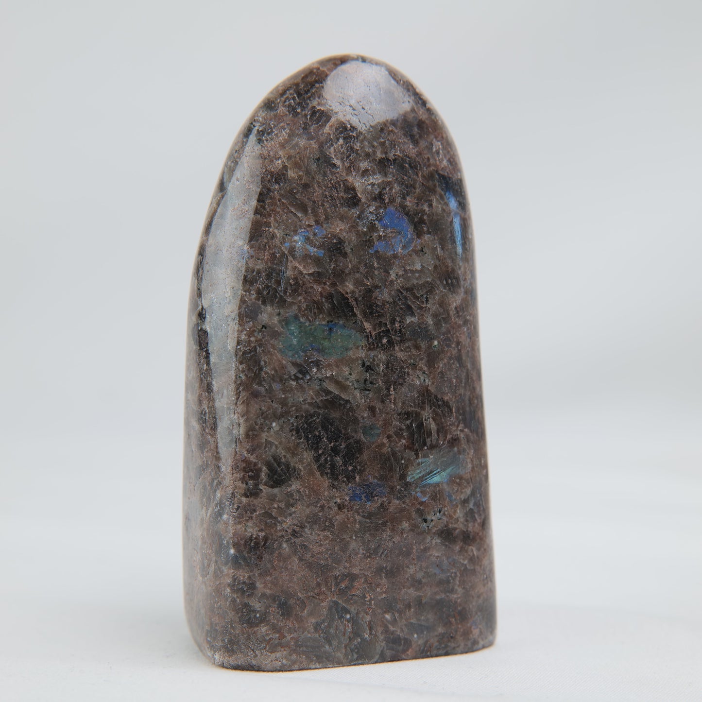 Pakistan Labradorite Freeform — 268 g (100 mm) - Luna Panther