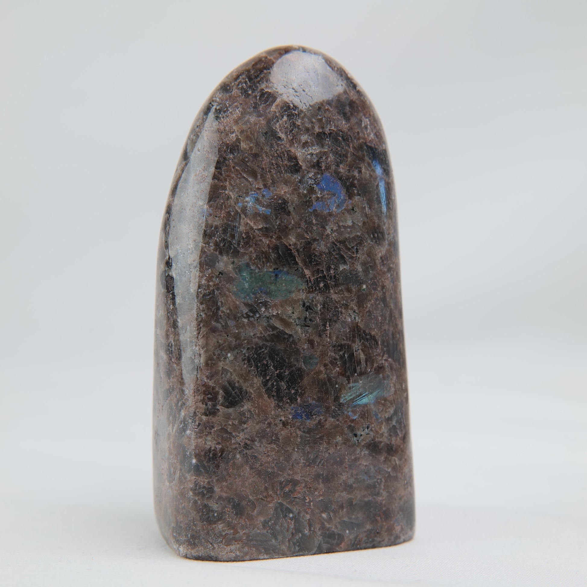 Pakistan Labradorite Freeform — 268 g (100 mm) - Luna Panther
