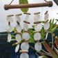 Pearl Effect Driftwood Chime - Luna Panther