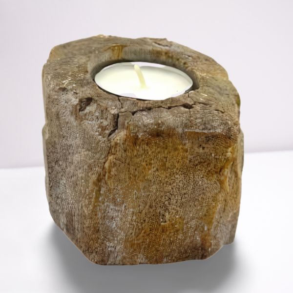 Polished Petrified Wood Candle Holder - Single Low featuring earthy woodgrain pattern and glossy finish - Luna Panther