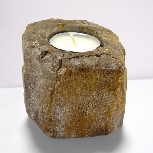 Polished Petrified Wood Candle Holder - Single Low featuring earthy woodgrain pattern and glossy finish - Luna Panther