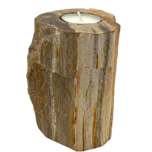 Polished Petrified Wood Candle Holder - Single Tall featuring earthy woodgrain pattern and glossy finish - Luna Panther