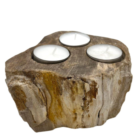 Polished Petrified Wood Candle Holder - Triple featuring earthy woodgrain pattern and glossy finish - Luna Panther