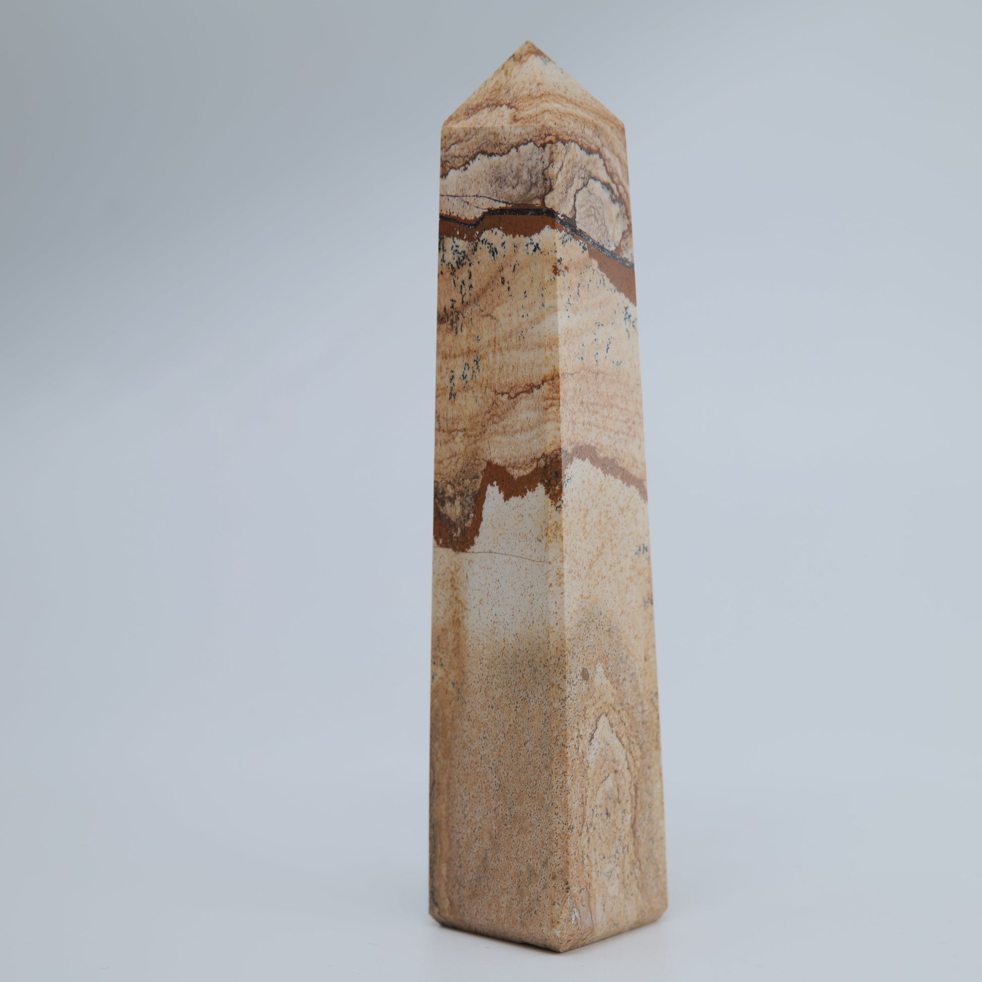 Picture Jasper Tower 150g - Luna Panther