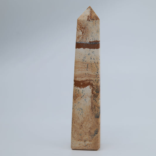 Picture Jasper Tower 150g - Luna Panther