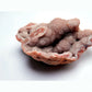 Pink Druzy Quartz & Agate Geode - 104g - Luna Panther