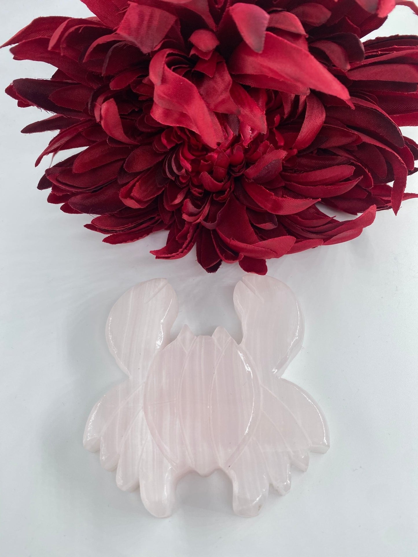 Polished Pink Mangano Crab featuring natural patterning and unique variations - Luna Panther