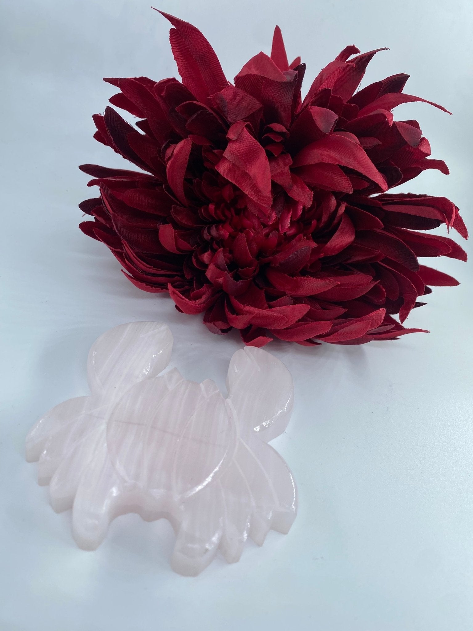 Polished Pink Mangano Crab featuring natural patterning and unique variations - Luna Panther