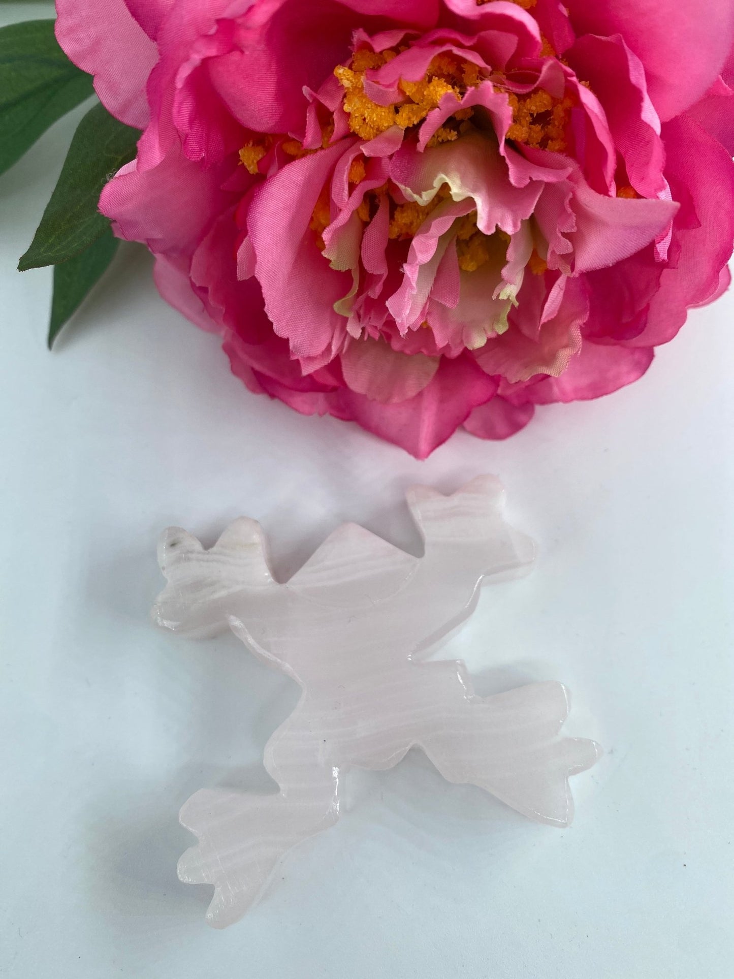 Polished Pink Mangano Frog featuring natural patterning and unique variations - Luna Panther