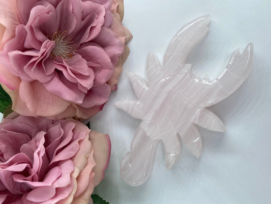Polished Pink Mangano Scorpion featuring natural patterning and unique variations - Luna Panther alternate view
