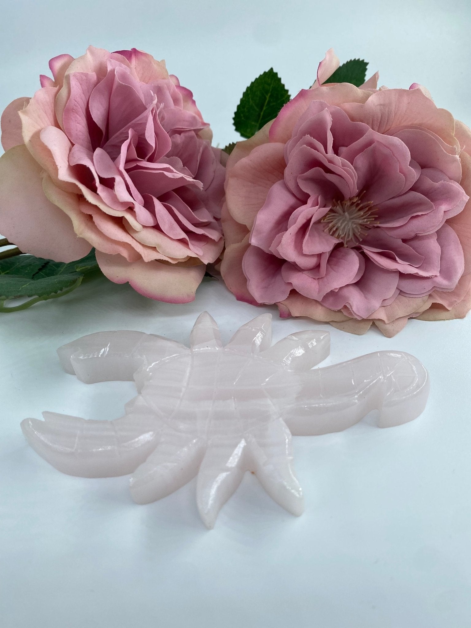 Polished Pink Mangano Scorpion featuring natural patterning and unique variations - Luna Panther