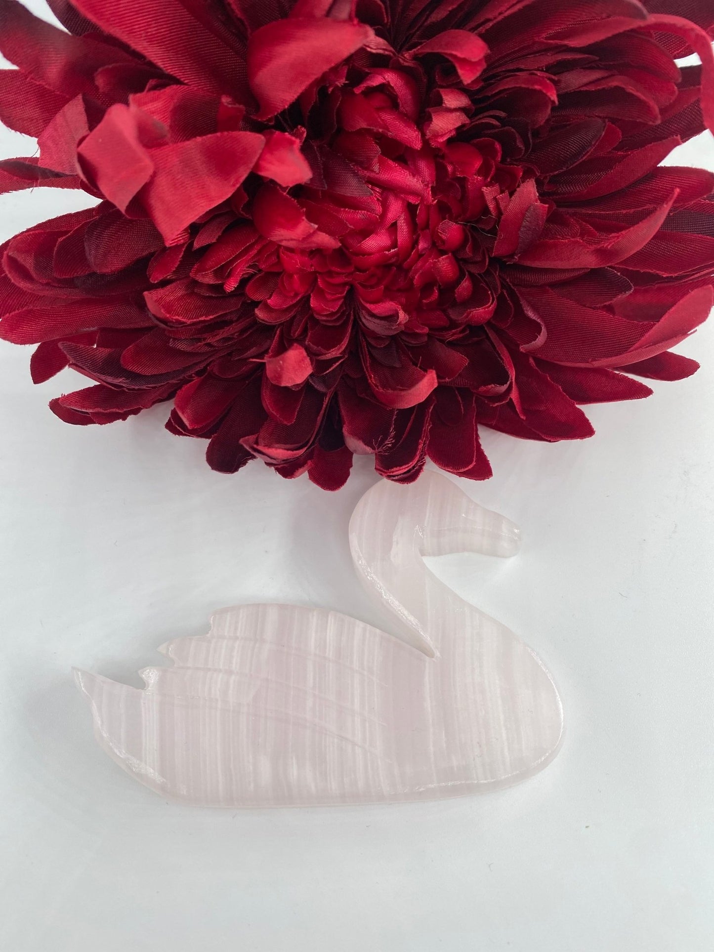 Polished Pink Mangano Swan featuring natural patterning and unique variations - Luna Panther