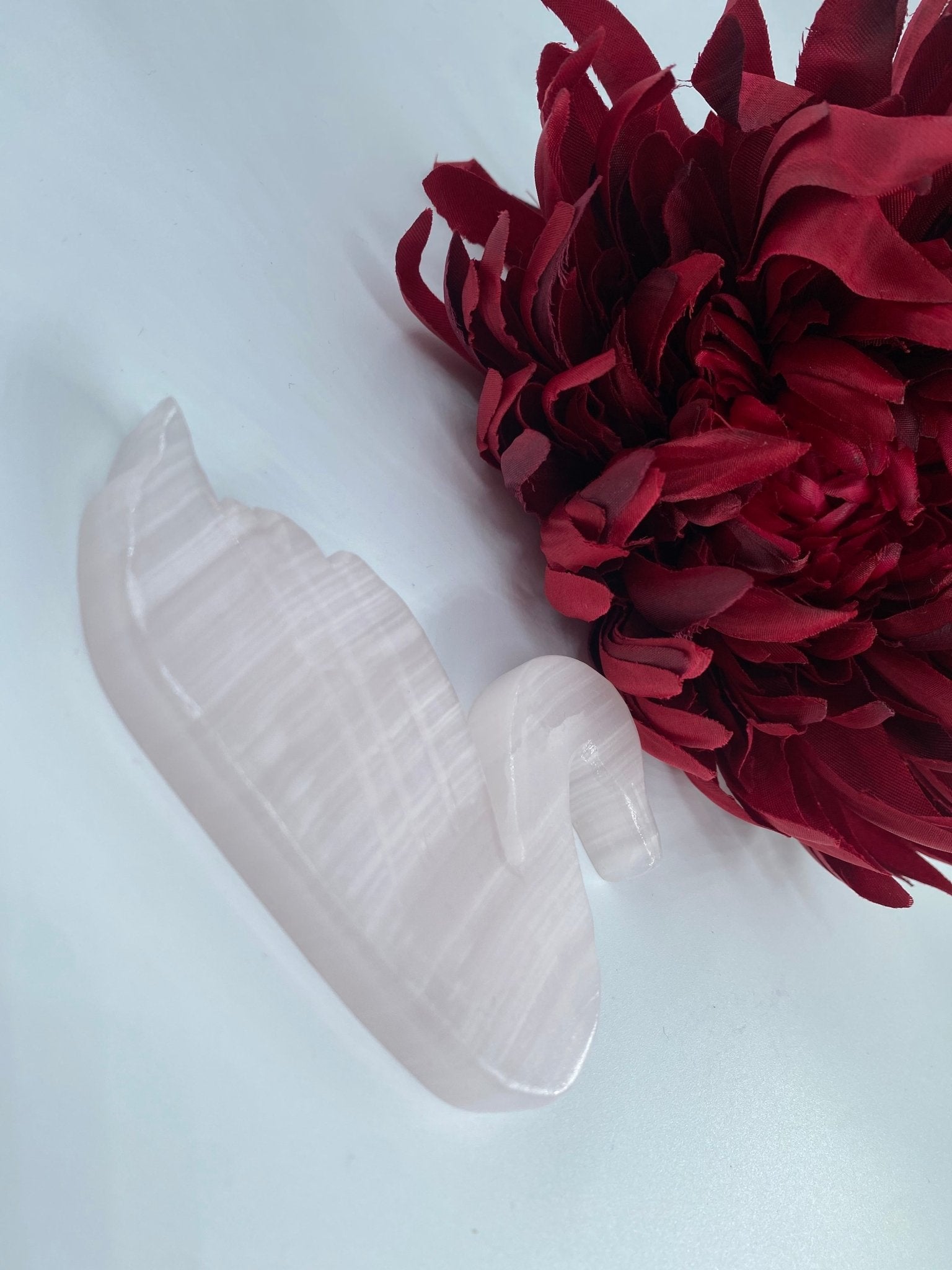 Polished Pink Mangano Swan featuring natural patterning and unique variations - Luna Panther