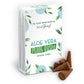 Plant Based Incense Cones - Aloe Vera - Luna Panther