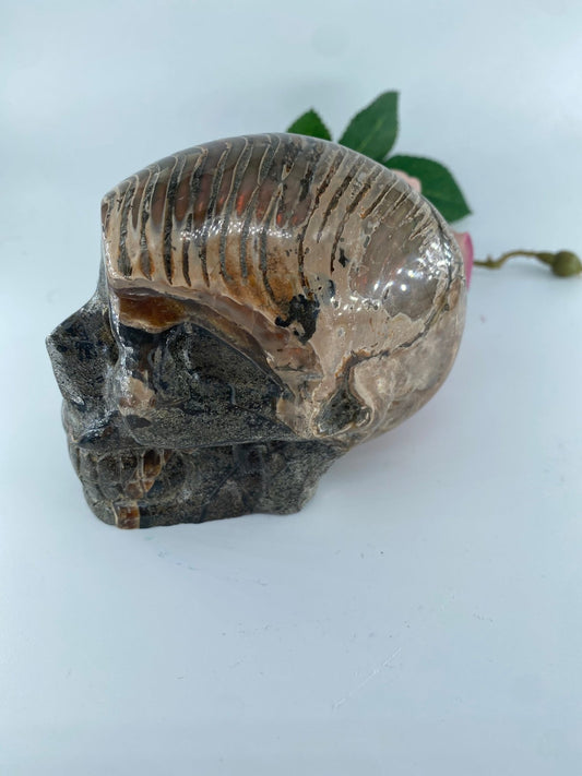 Polished Polished Ammonite Opalised Nautilus Fossil Skull Carving featuring play-of-colour and luminous sheen - Luna Panther