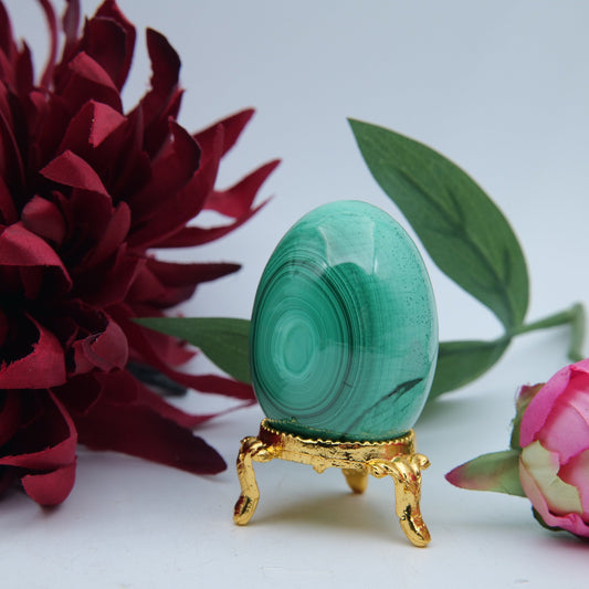 Polished Polished Banded Malachite Egg 135G featuring banded green patterning and silky polish - Luna Panther