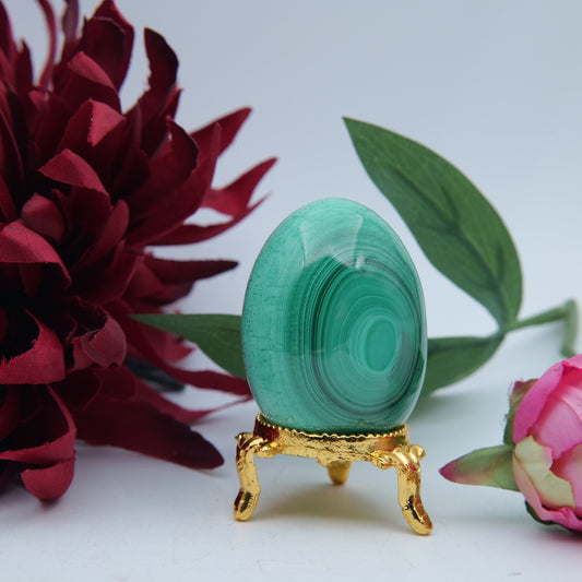 Polished Polished Banded Malachite Egg - 135g featuring banded green patterning and silky polish - Luna Panther