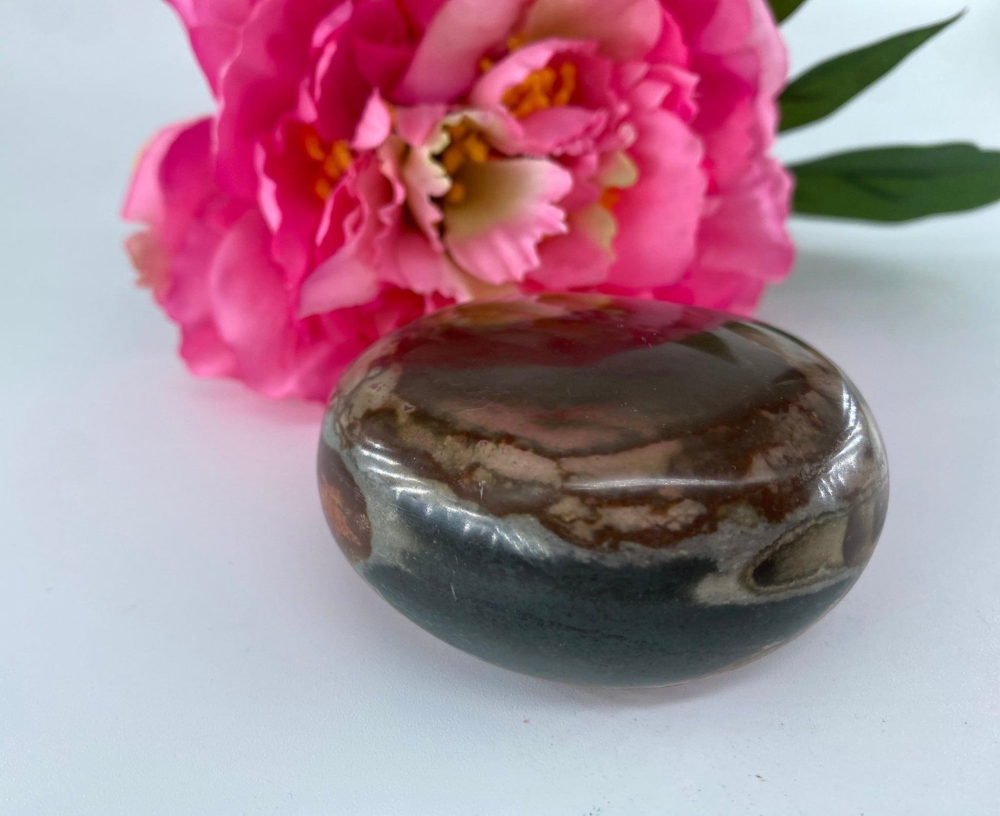 Polished Polished Polychrome Jasper Gallet 186 grams featuring earthy patterns and matte-gloss finish - Luna Panther