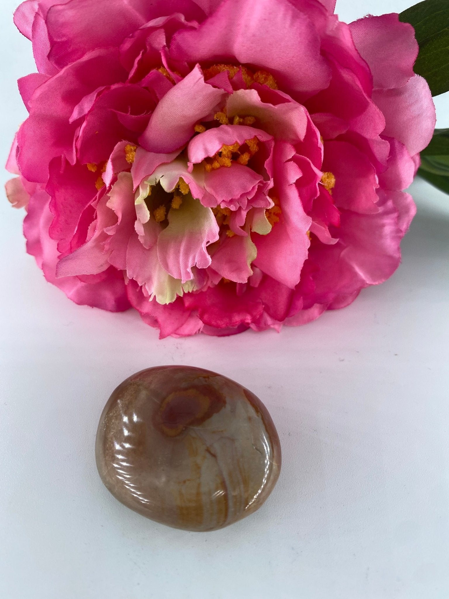 Polished Polished Polychrome Jasper Gallet 36 grams featuring earthy patterns and matte-gloss finish - Luna Panther