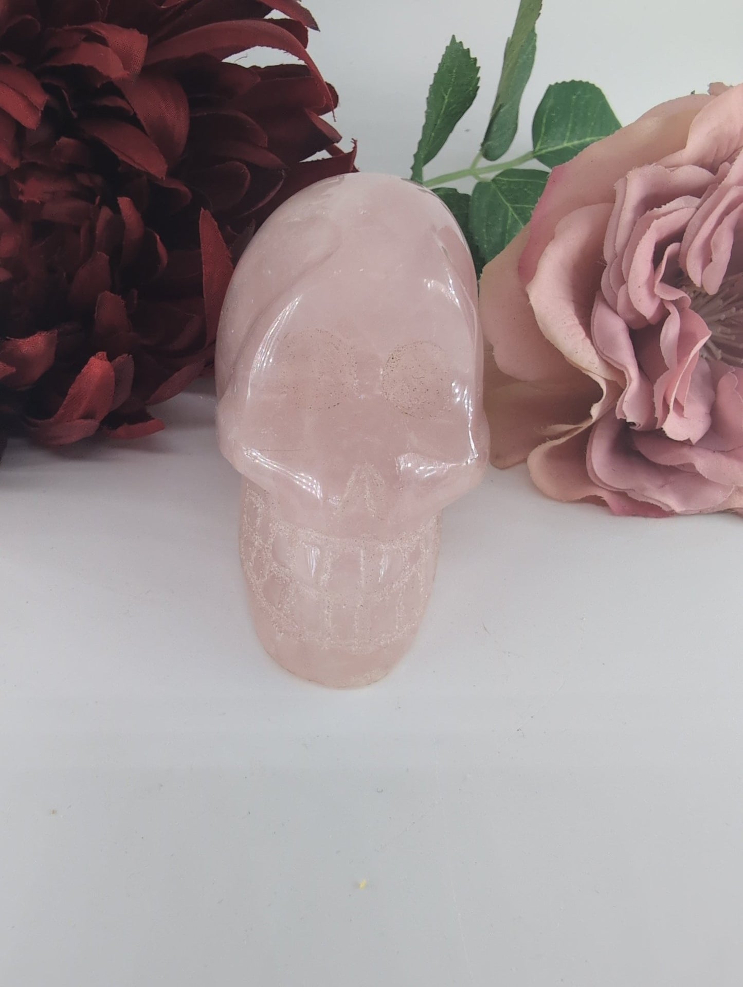 Polished Polished Rose Quartz Skull 300g featuring soft pink tone and gentle translucence - Luna Panther