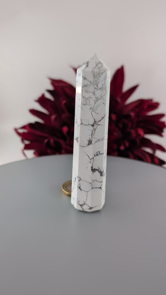 Howlite Point - 100mm Crystal Tower alternate view