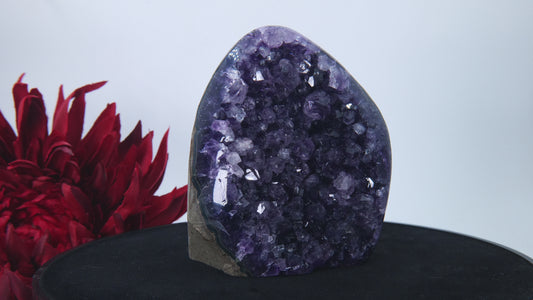 Uruguayan Polished Amethyst Geode – A Grade, 553 g alternate view