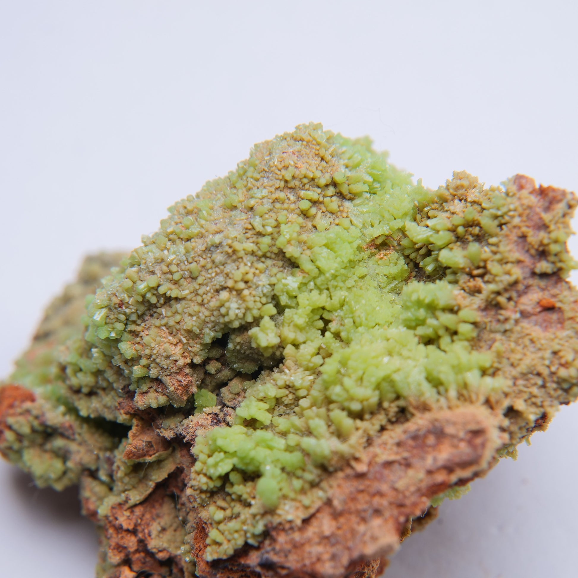 Pyromorphite from Trevinnick Mine, St Kew, Cornwall - 38.35g