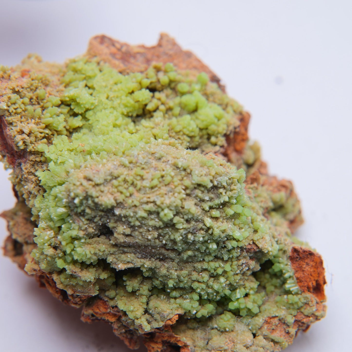 Pyromorphite from Trevinnick Mine, St Kew, Cornwall - 38.35g - Luna Panther
