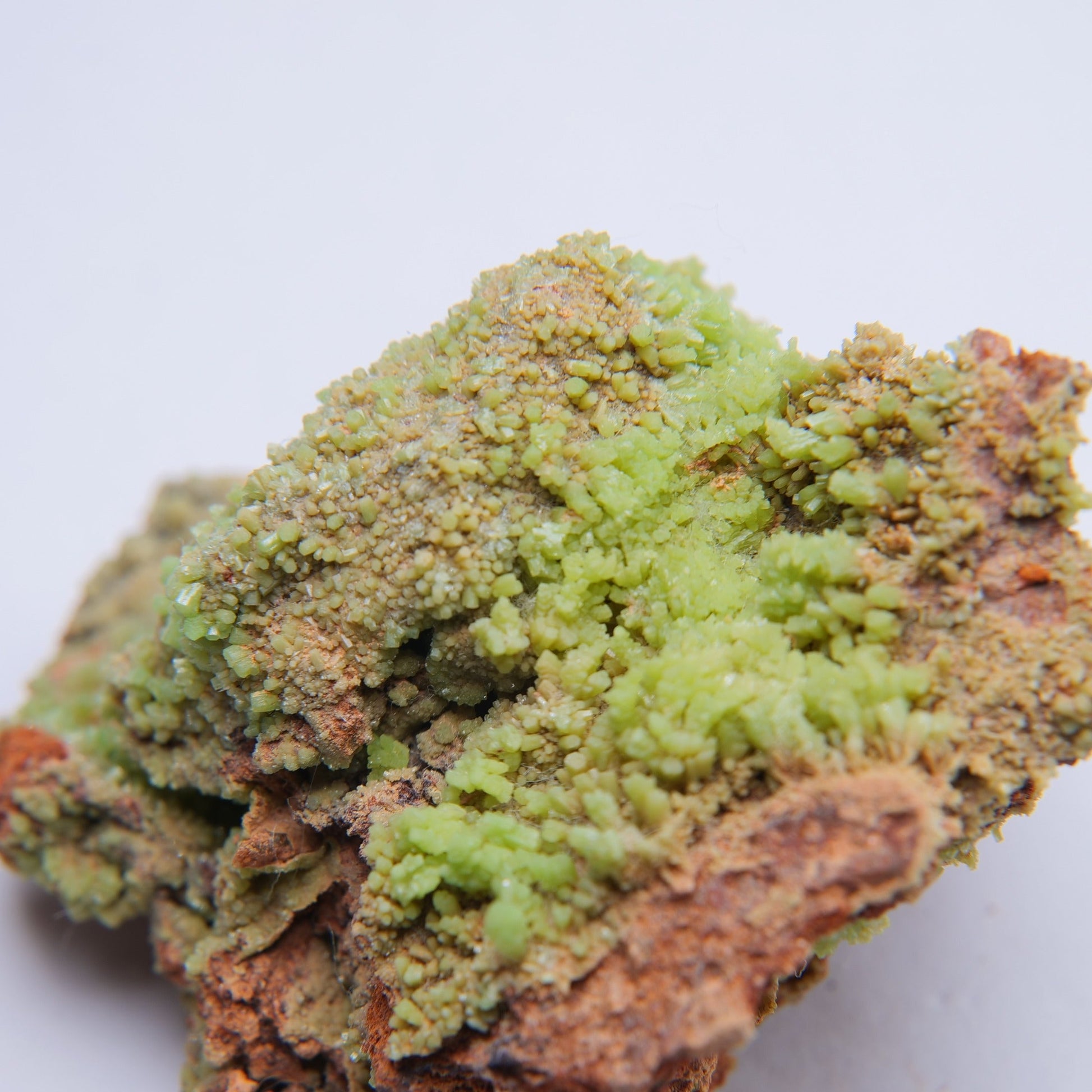 Pyromorphite from Trevinnick Mine, St Kew, Cornwall - 38.35g - Luna Panther