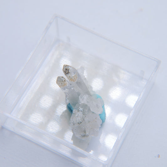 Quartz & Chlorite from St Christophe en Oisans, Isere, France - 10g - Luna Panther alternate view