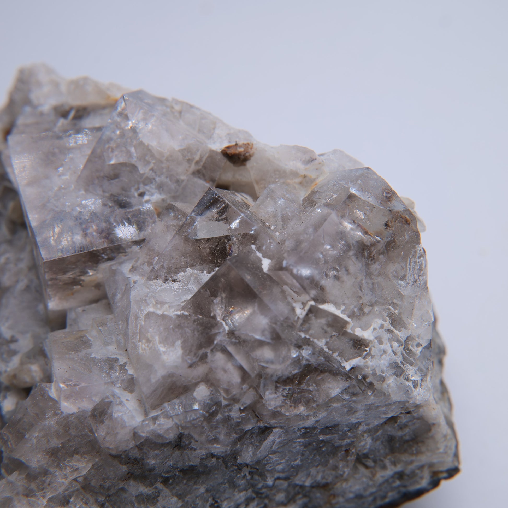 Quartz geode specimen from Dulcote Quarry, Somerset, 594g