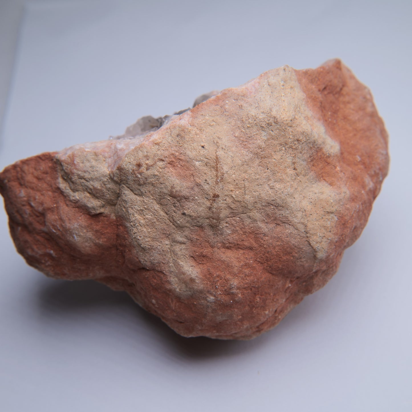 Quartz geode specimen from Dulcote Quarry, Somerset, 594g