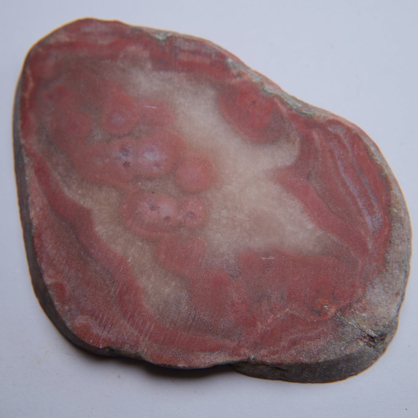 Quartz var. Agate from Dulcote Quarry, St Cuthbert Out, UK - 65.88g - Luna Panther