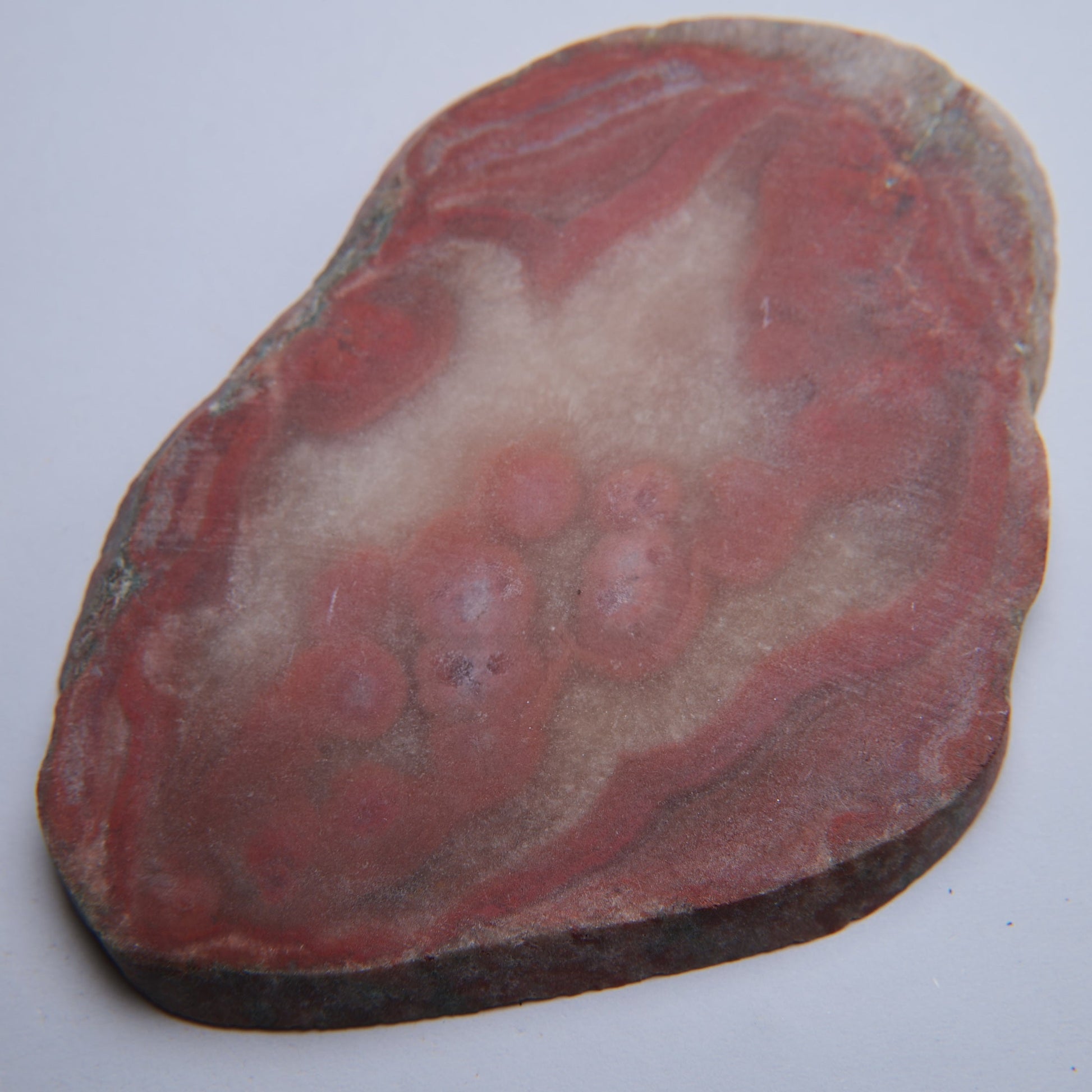 Quartz var. Agate from Dulcote Quarry, St Cuthbert Out, UK - 65.88g - Luna Panther