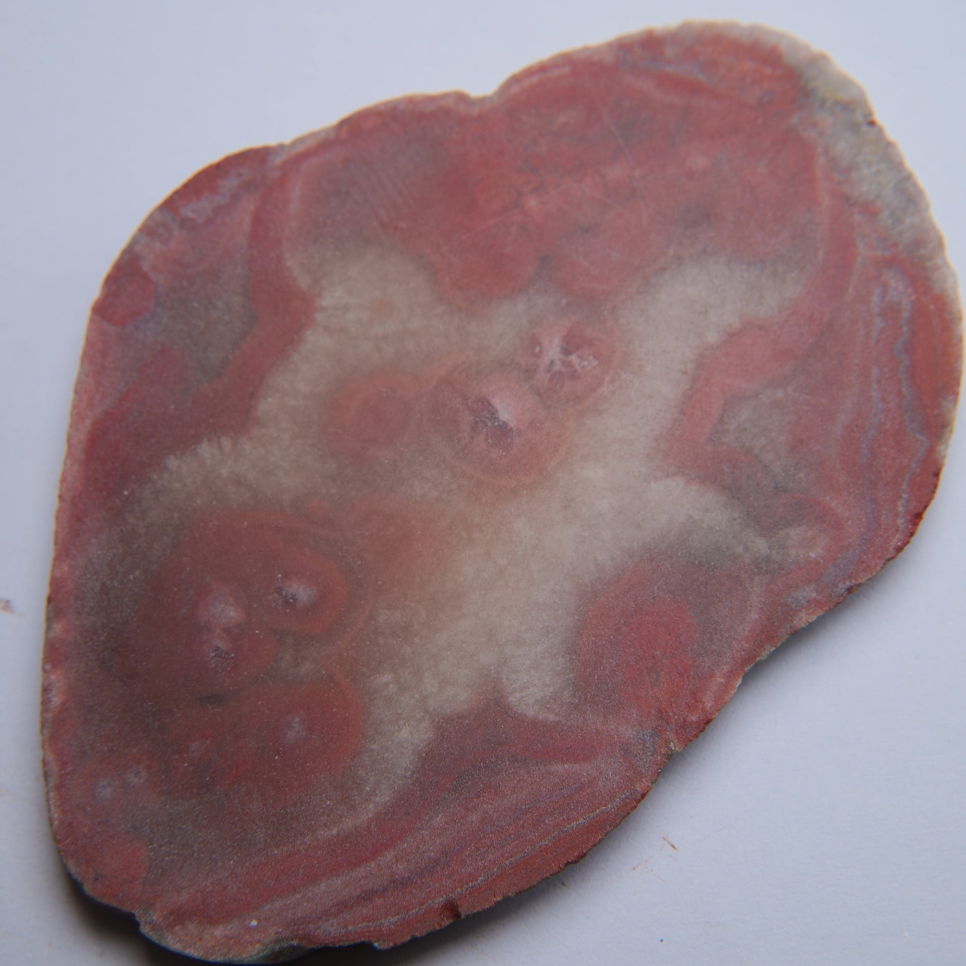 Quartz var. Agate from Dulcote Quarry, St Cuthbert Out, UK - 65.88g - Luna Panther