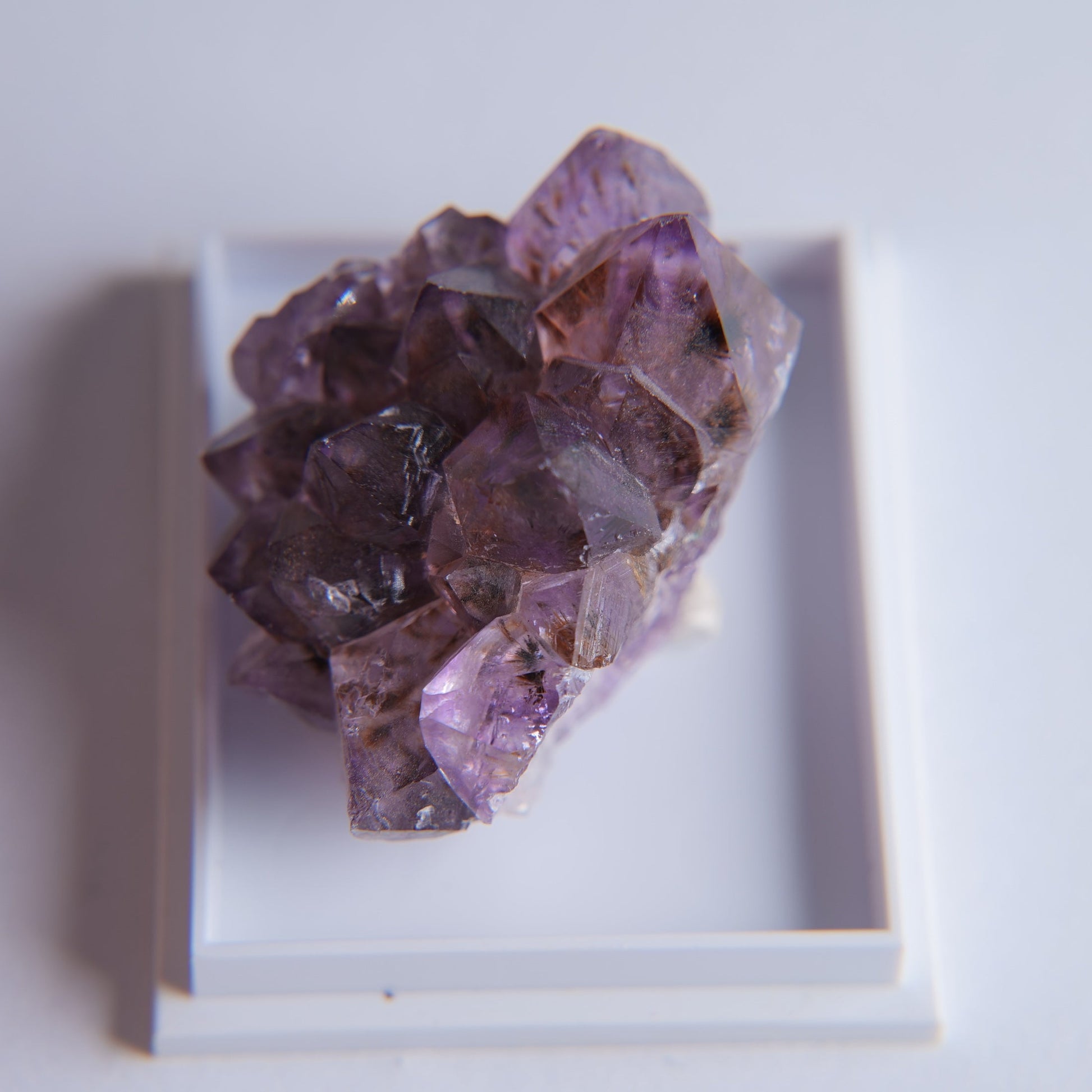 Quartz var. Amethyst from Minas Gerais, Brazil - 18.68g - Luna Panther
