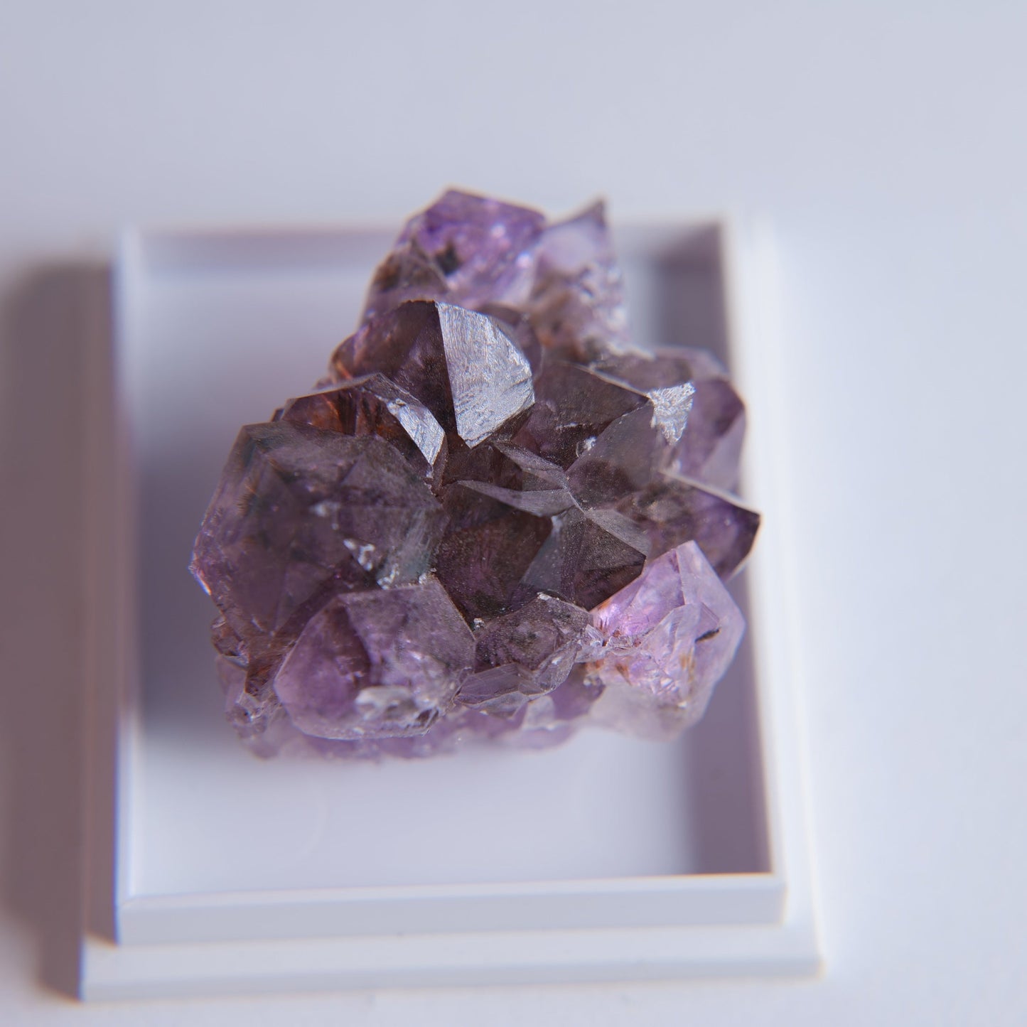 Quartz var. Amethyst from Minas Gerais, Brazil - 18.68g - Luna Panther